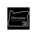 Flawsome logo